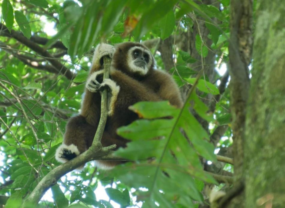Sama Sama Homestay & Trekking Only Stay Here Book Trekking And Transport With Us Bukit Lawang Exterior foto