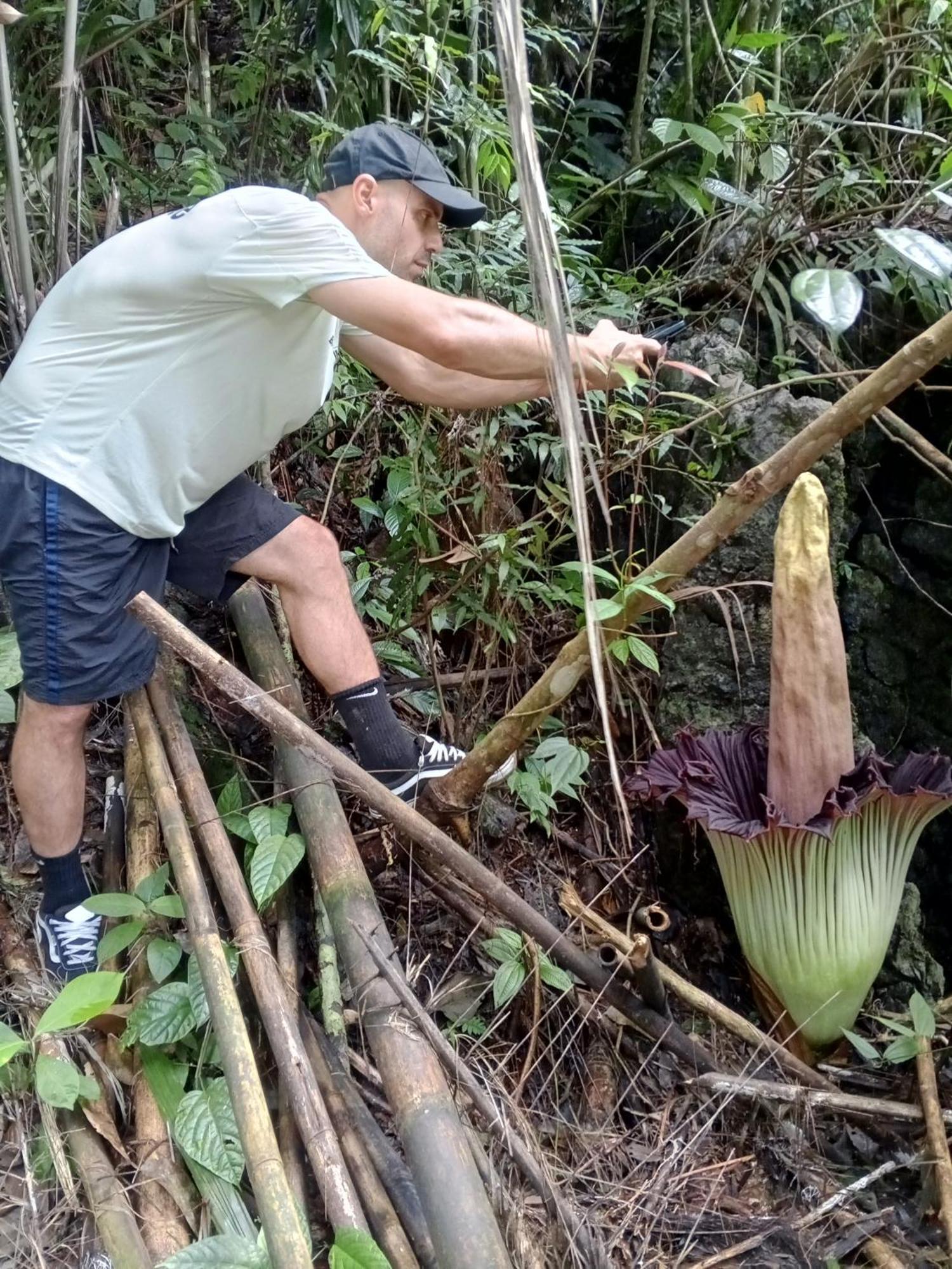Sama Sama Homestay & Trekking Only Stay Here Book Trekking And Transport With Us Bukit Lawang Exterior foto